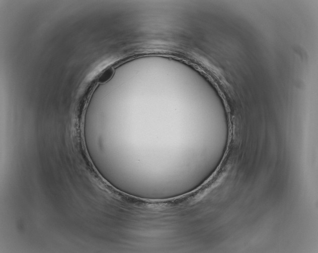 X0000113021453200908271023