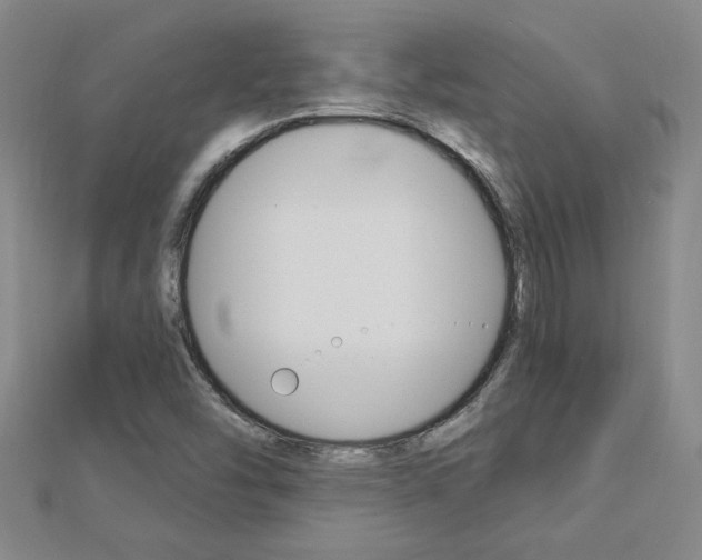 X0000113021454200908271023