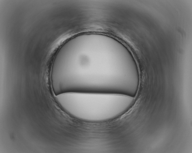 X0000113021455200908271023