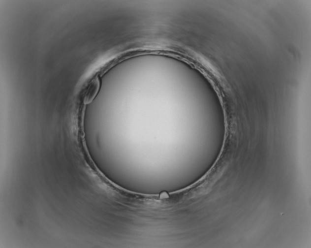 X0000113021456200908271023