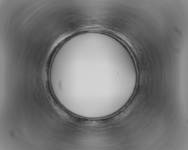 X0000113021458200908271023