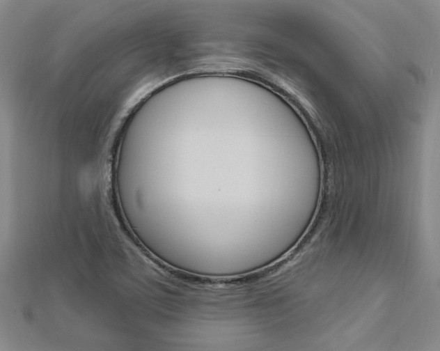 X0000113021459200908271023