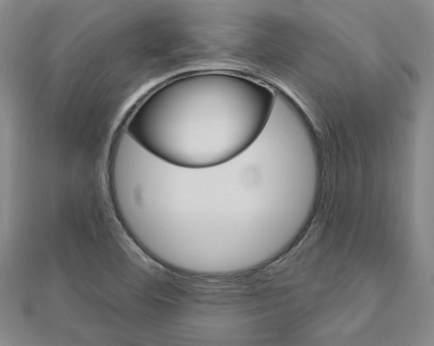 X0000113021460200908271023