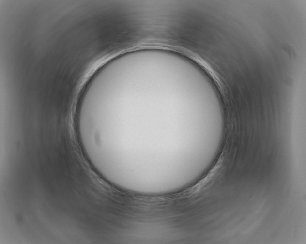 X0000113021461200908271023