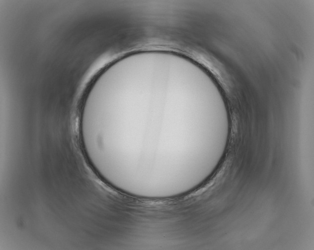 X0000113021462200908271023