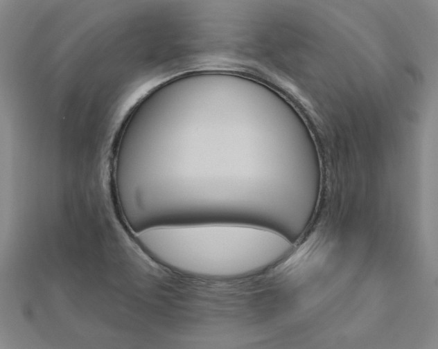 X0000113021463200908271023