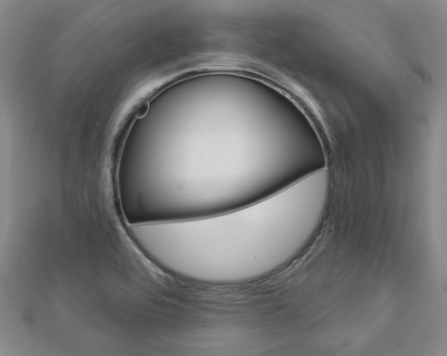 X0000113021464200908271023