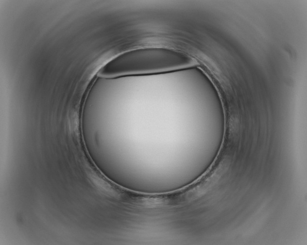 X0000113021465200908271023