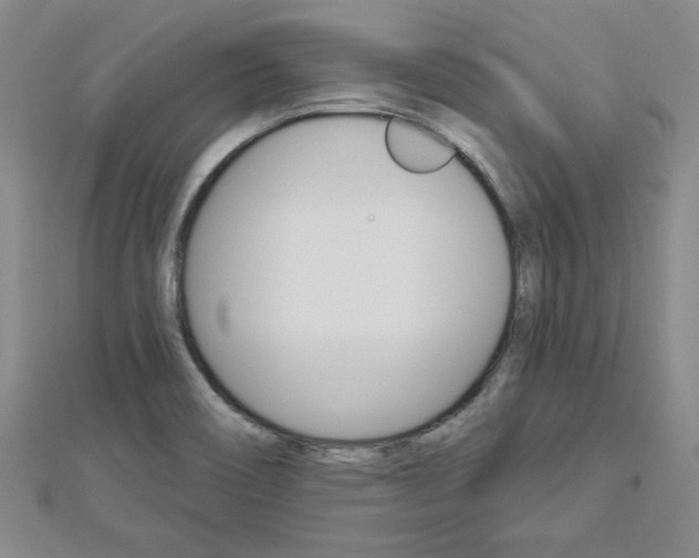 X0000113021466200908271023