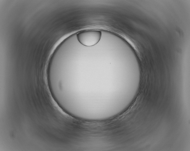 X0000113021468200908271023