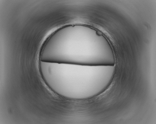 X0000113021469200908271023
