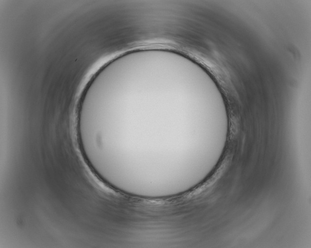 X0000113021470200908271023