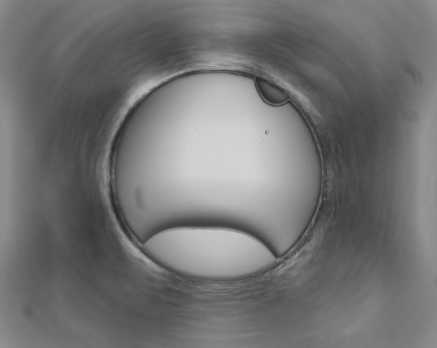 X0000113021471200908271023