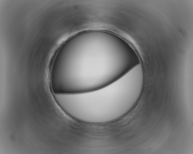 X0000113021472200908271023