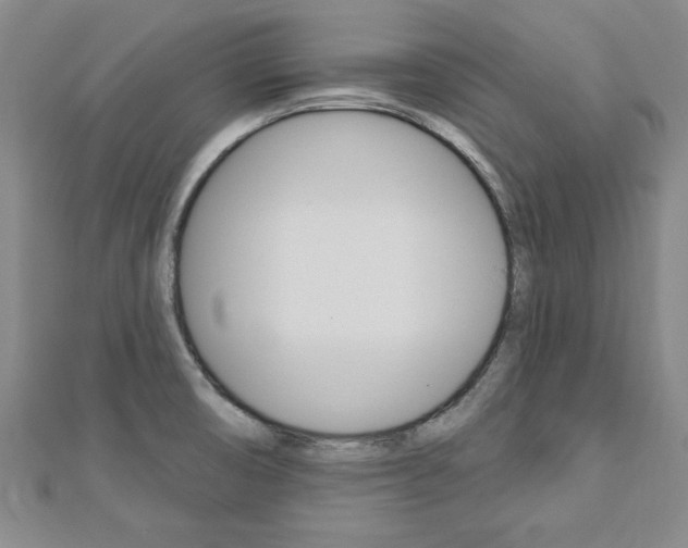 X0000113021474200908271023