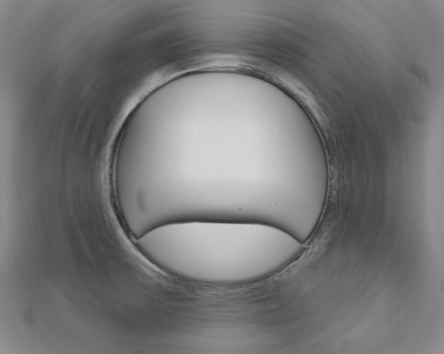 X0000113021475200908271023