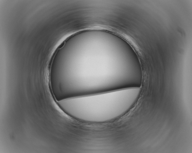 X0000113021476200908271023