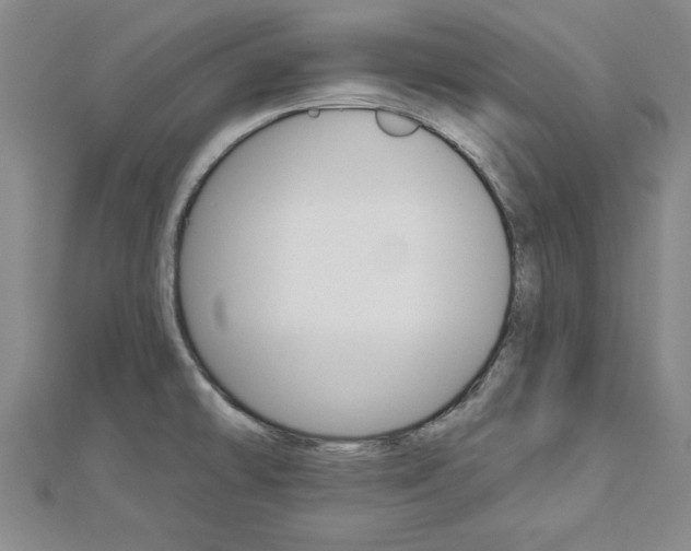 X0000113021478200908271023