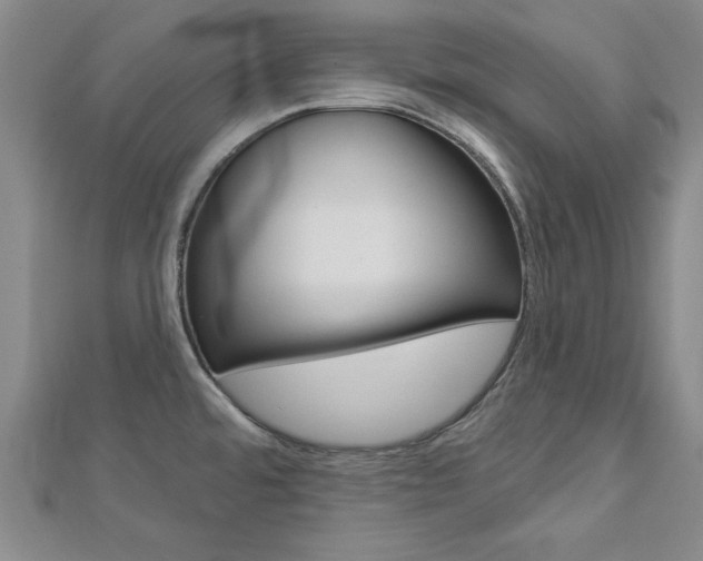 X0000113021480200908271023