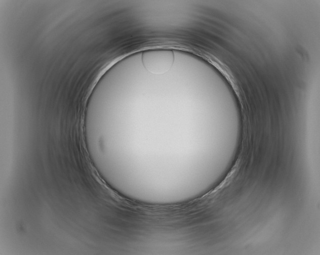 X0000113021481200908271023