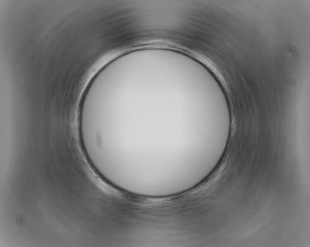 X0000113021482200908271023