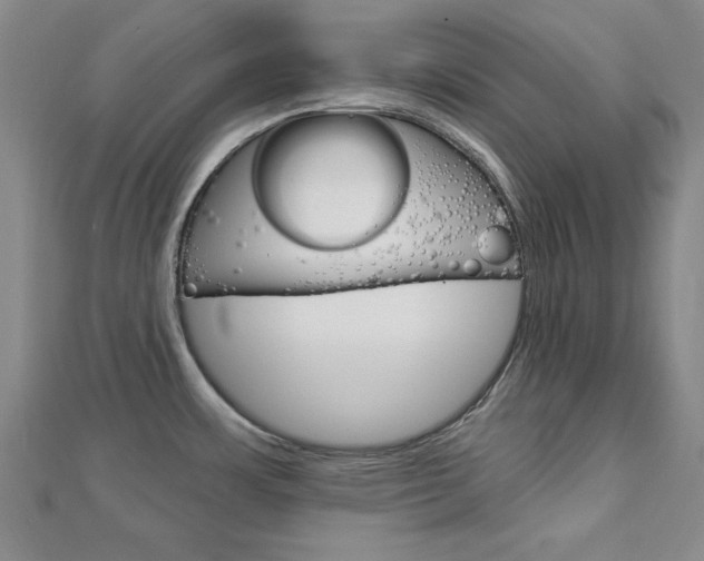 X0000113021483200908271023