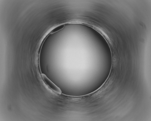 X0000113021484200908271023