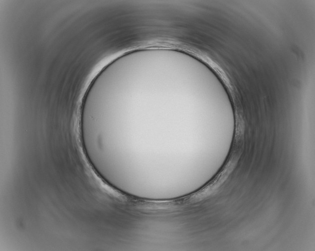 X0000113021486200908271023