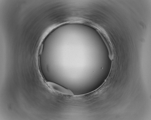 X0000113021488200908271023
