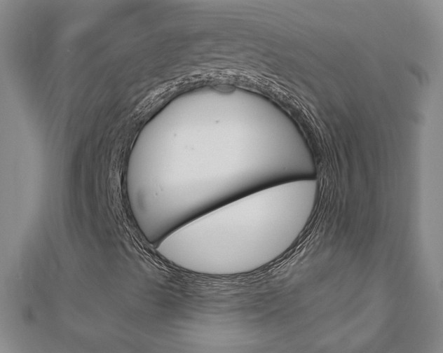 X0000113021489200908271022
