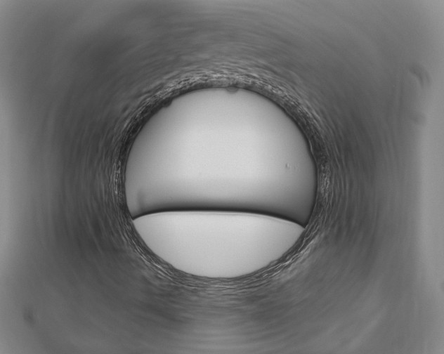 X0000113021490200908271022