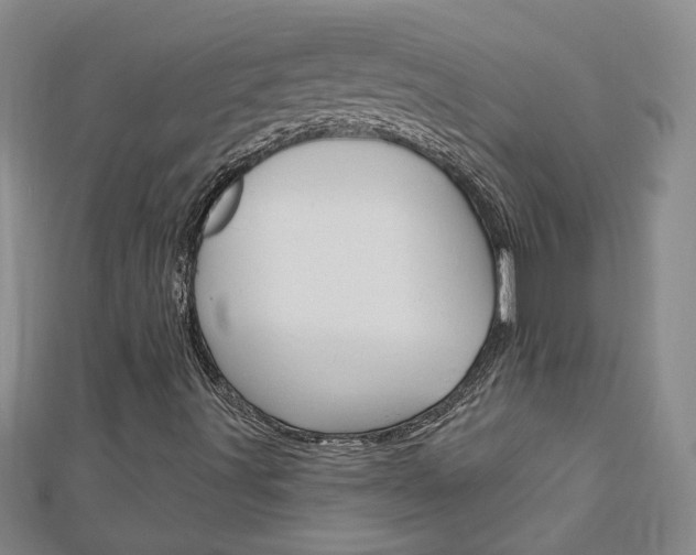 X0000113021491200908271022