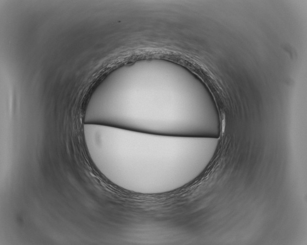 X0000113021492200908271022
