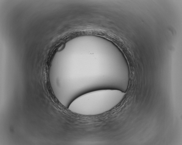 X0000113021493200908271022