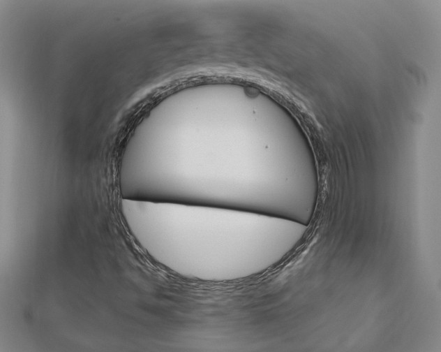 X0000113021494200908271022