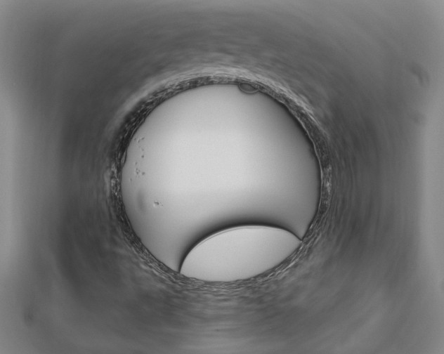 X0000113021495200908271022