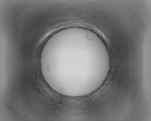 X0000113021496200908271022