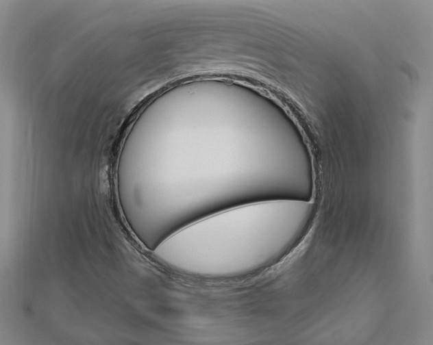 X0000113021497200908271022