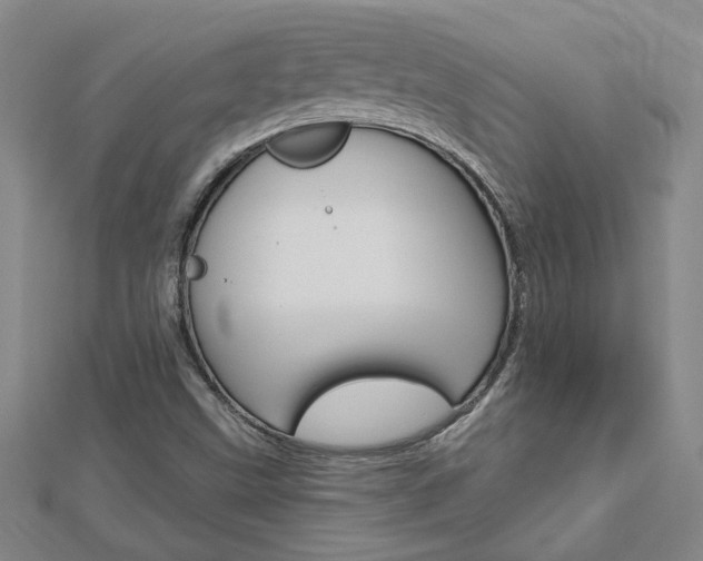 X0000113021499200908271022