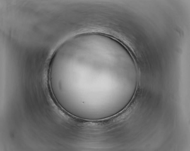 X0000113021500200908271022
