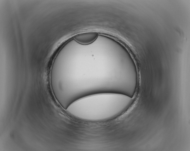 X0000113021501200908271022