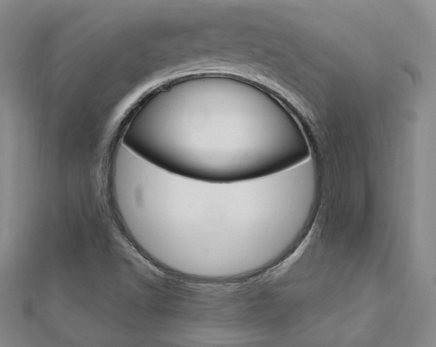 X0000113021502200908271022