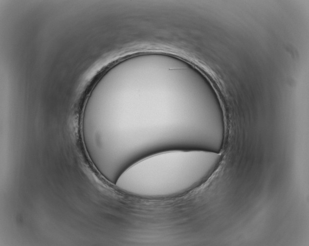 X0000113021503200908271022