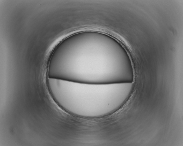 X0000113021504200908271022