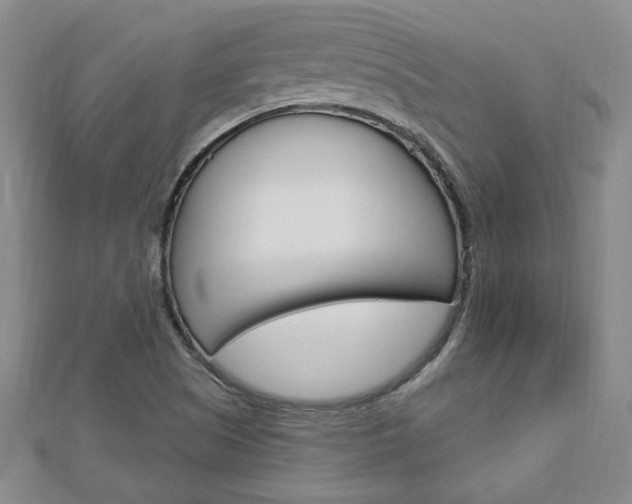 X0000113021505200908271022