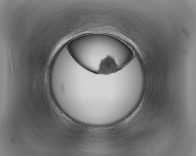 X0000113021506200908271022