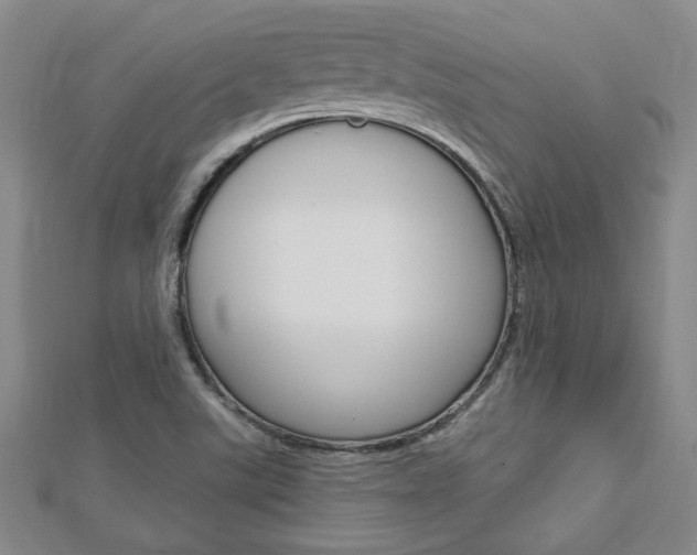 X0000113021507200908271022