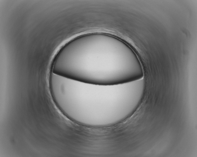 X0000113021508200908271022