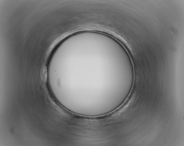 X0000113021509200908271022