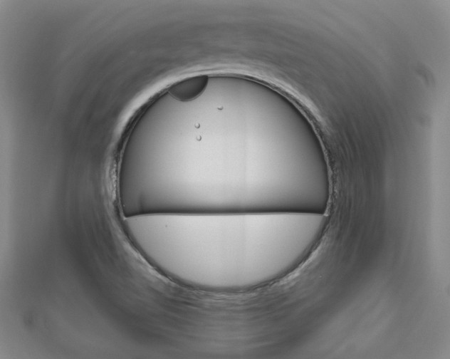 X0000113021510200908271022